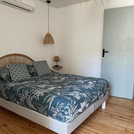 Agreable Petite Maison Au Coeur Du Minervois Villarzel-Cabardes Екстер'єр фото